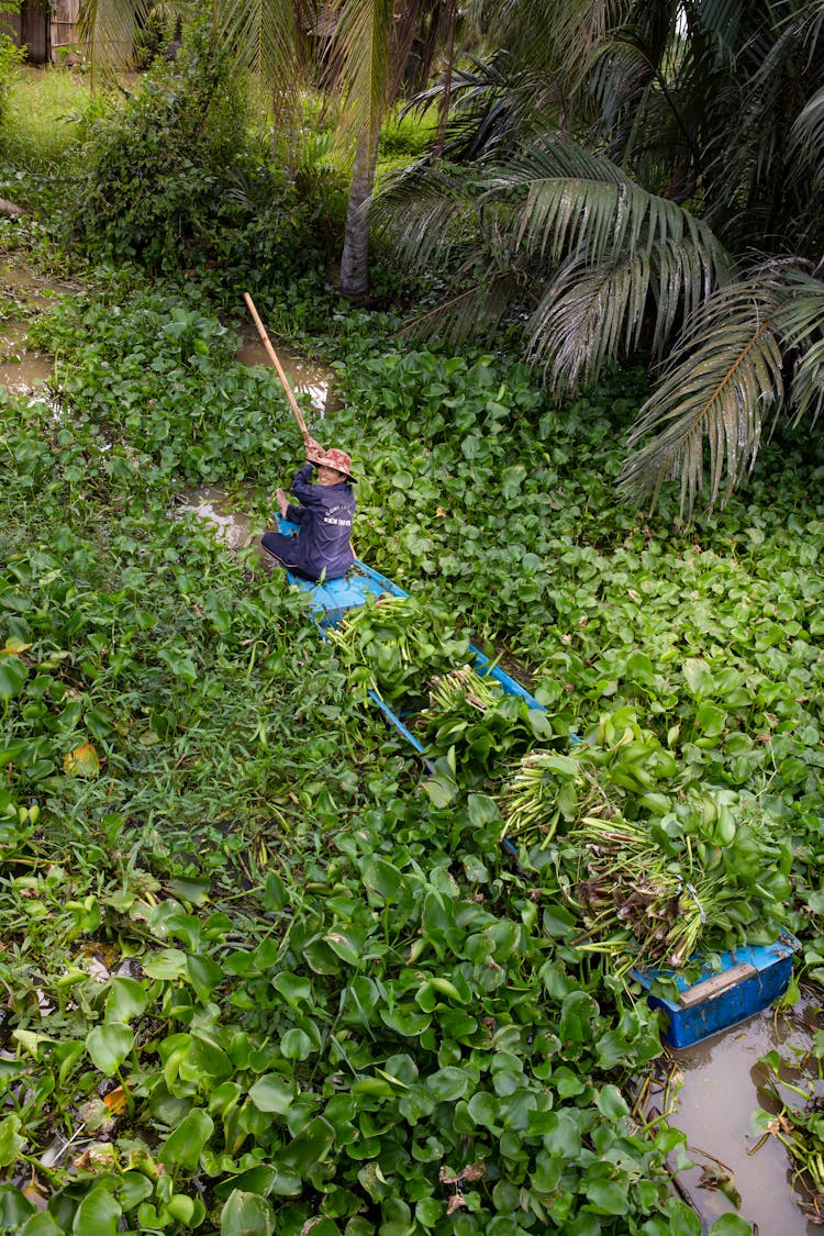 Merchant In Boat On River