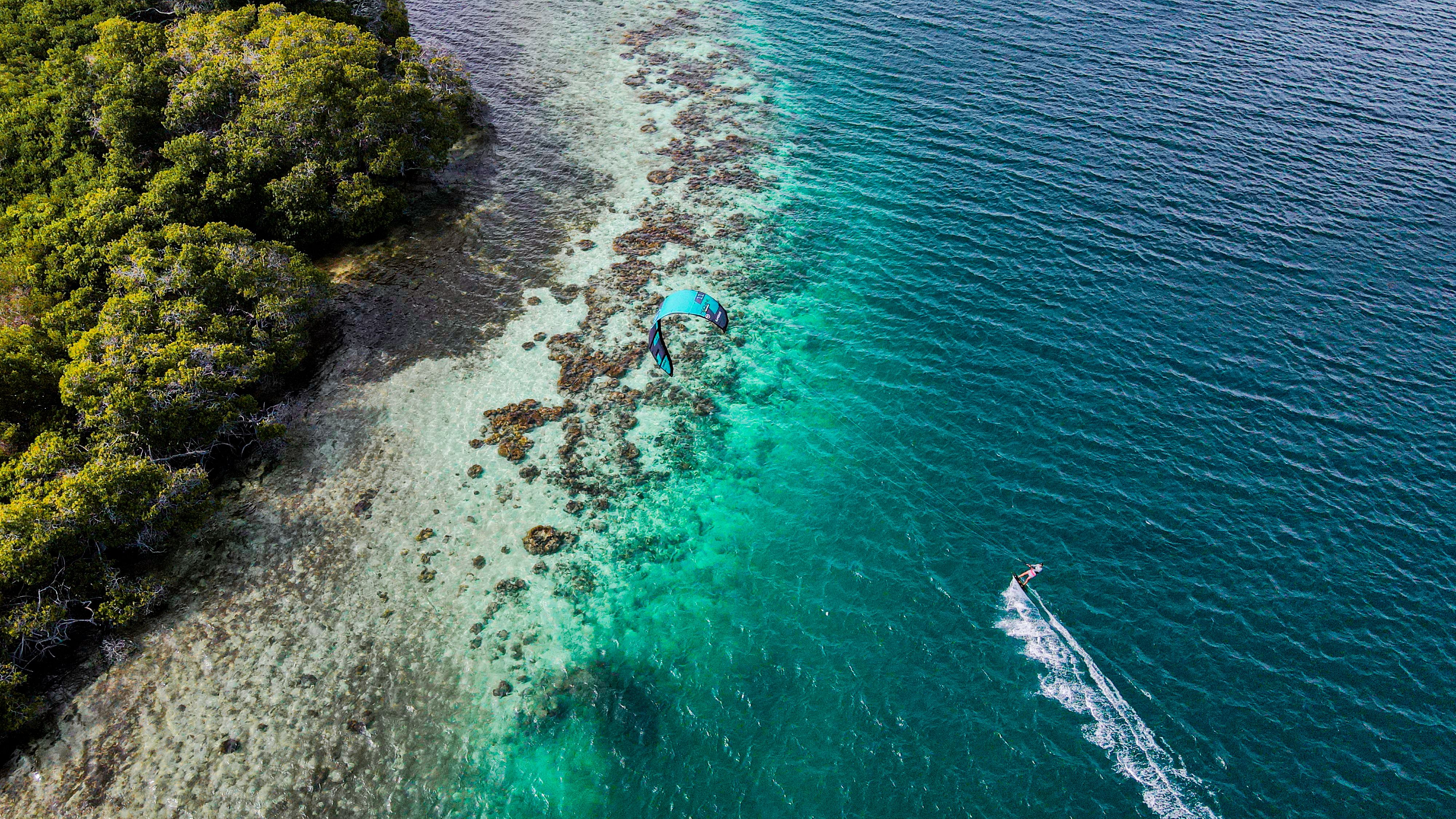 Manglary i kajaki