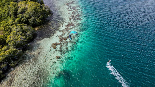 Stunning aerial shot of turquoise Caribbean waters, coral reef, and lush coastline in Dependencias Federales, Venezuela.