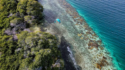 Aerial Footage of a Paraglider Flying over a Coast and Turquoise Sea