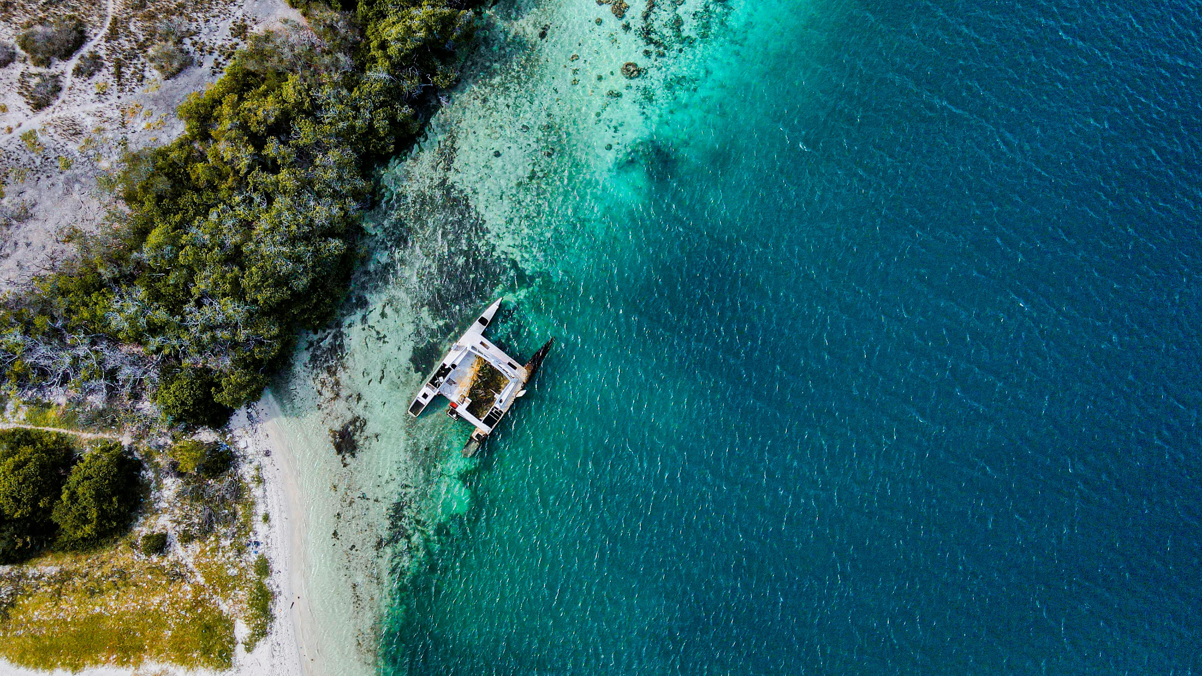 Catamaran amarré sur une plage tropicale exotique