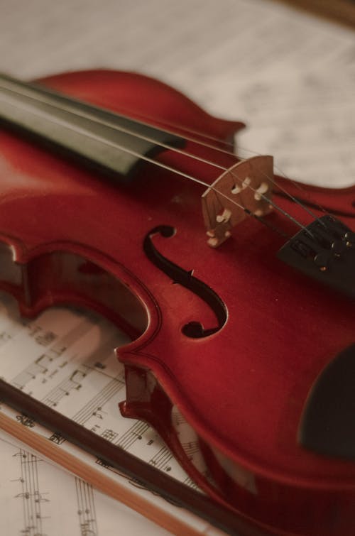 Free Close-up of a Violin Stock Photo