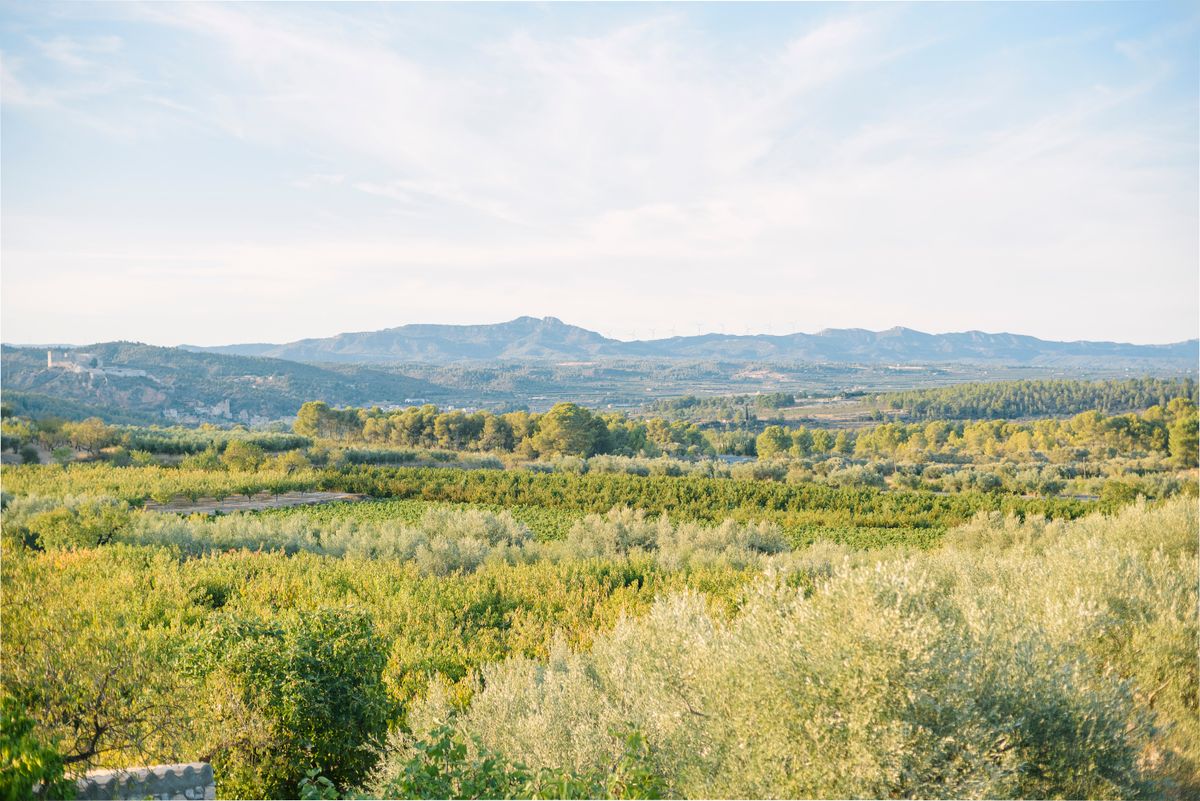 Masías en l’Arboç