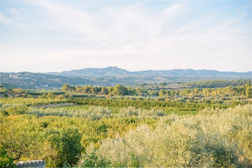 Free Serene view of lush green fields and distant mountains under a serene sky. Stock Photo