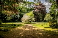 阳光明媚的天空下，美丽的花园里树木郁郁葱葱，绿意盎然