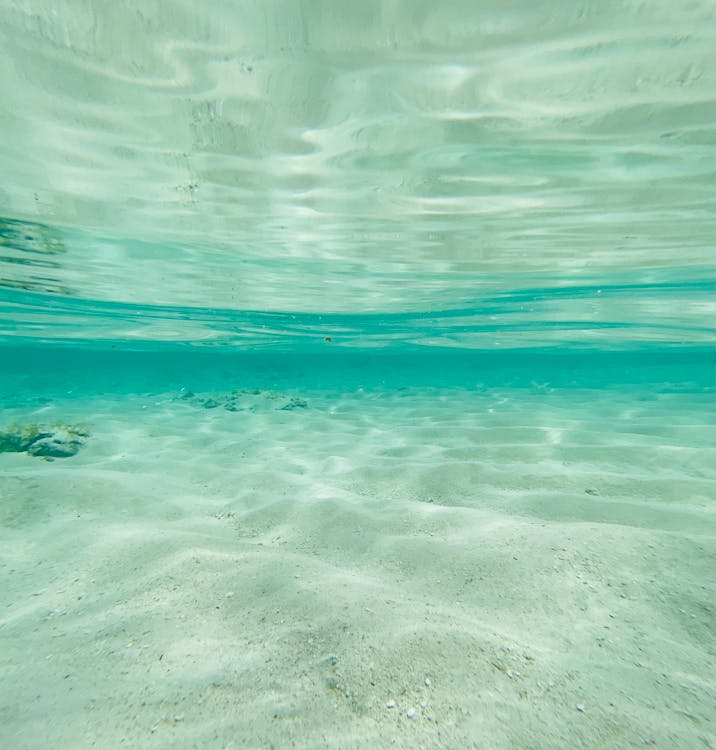 Immagine gratuita di azzurro, natura, parte inferiore