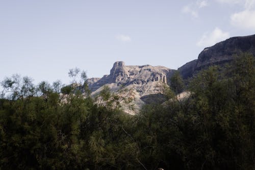 Безкоштовне стокове фото на тему «гірський хребет, гори, дерева»