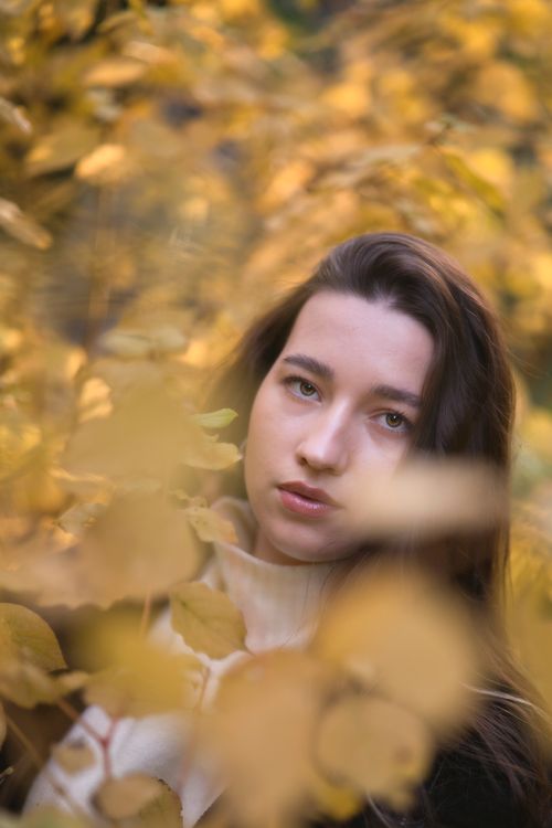 Free A serene portrait of a woman amidst autumn foliage, blending elegance with nature. Stock Photo
