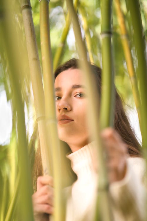 Woman Surrounded by Bamboo Trees