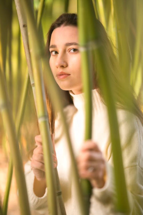 Woman Posing between Bamboo Trees