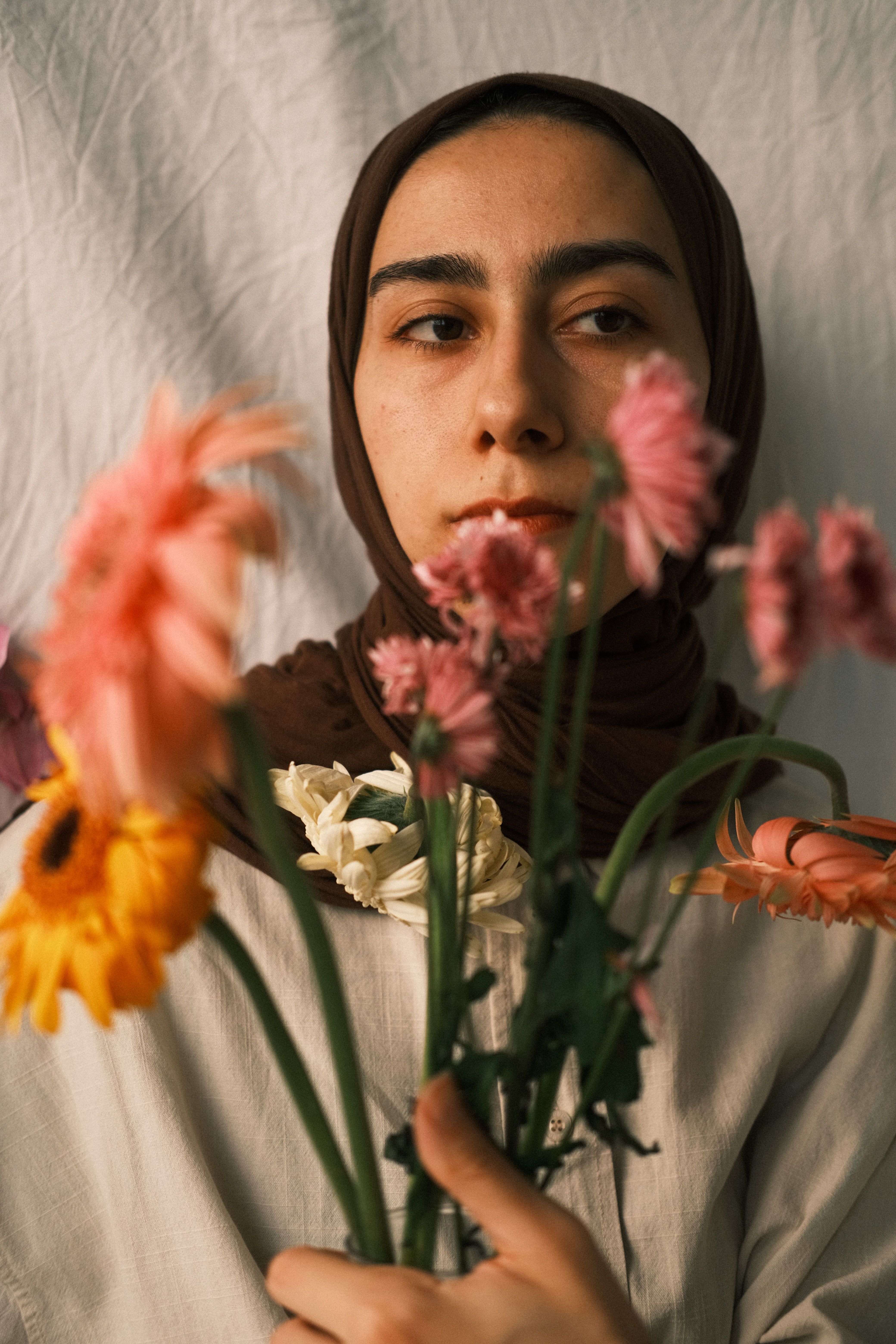Flowers with graybackground photos download free flowers with