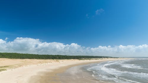 Darmowe zdjęcie z galerii z błękitne niebo, fale, lato