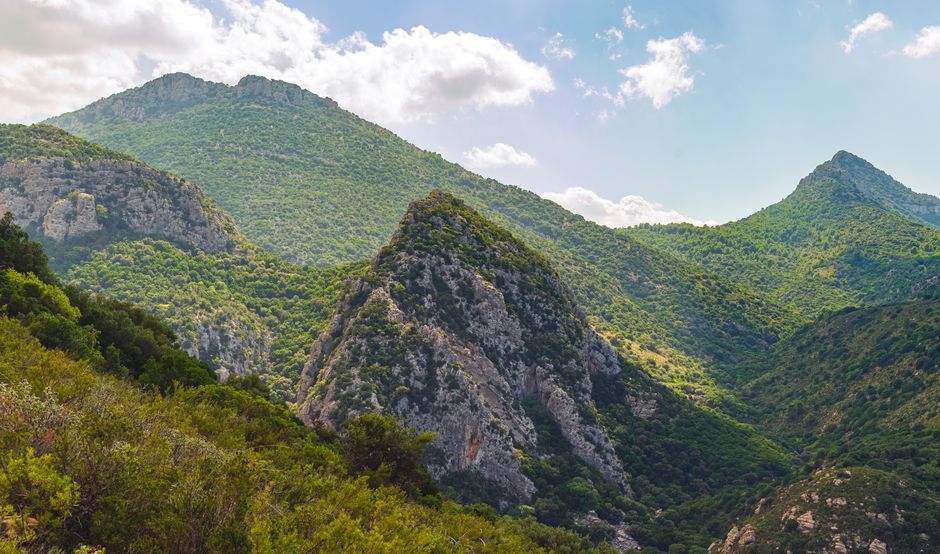 Foto de Zaghouan