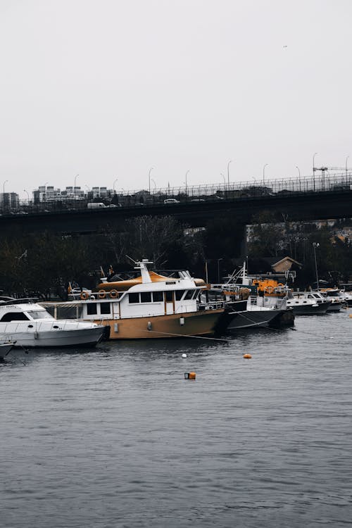 bağlı, desaturated, dikey atış içeren Ücretsiz stok fotoğraf