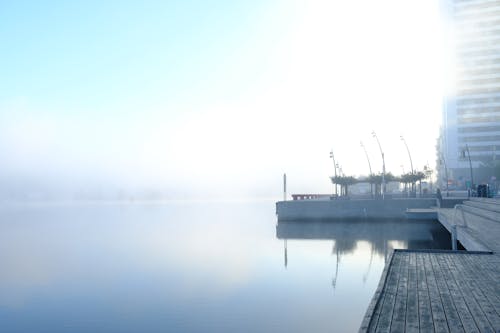 Free stock photo of early morning, fog, sunrise