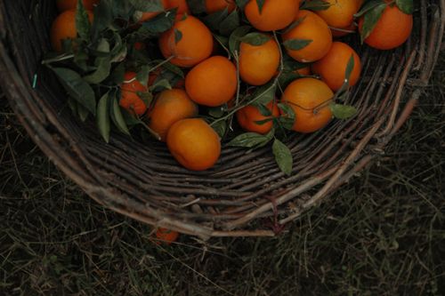 Free A woven basket filled with fresh oranges and green leaves sitting on grass, perfect for summer harvest themes. Stock Photo