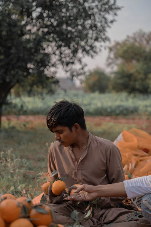 Sitting Man Holding Oranges