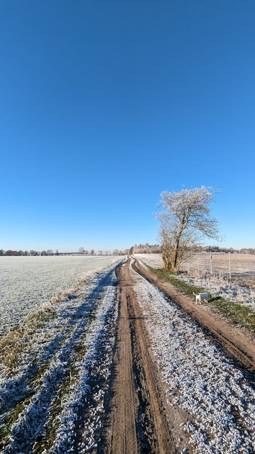 Základová fotografie zdarma na téma landsacpe, modrá obloha, pneumatiky