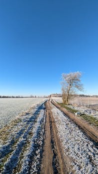 A snowy dirt road in Werlte, Germany, with a clear blue sky and frosty fields set in winter.