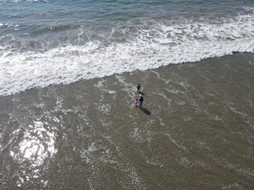 Aerial Photography of People at the Beach