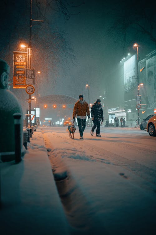 Men Walking in Dog on Winter City Street