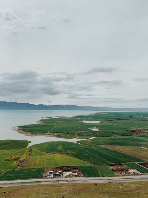 Foto stok gratis agrikultura, air, danau