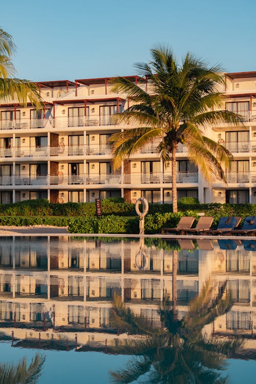 photo of a beachside resort with a palm tree and a pool during golden hour