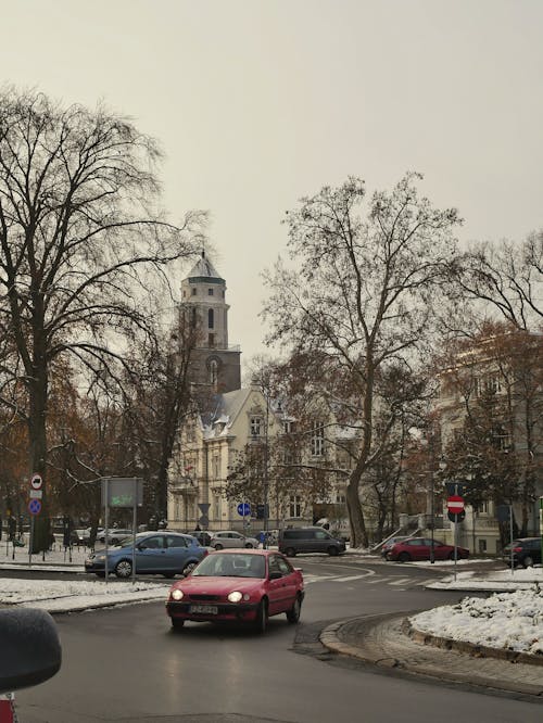 Gratis stockfoto met auto's, bomen, jaargetij