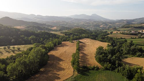 Photos gratuites de agriculture, arbres, campagne