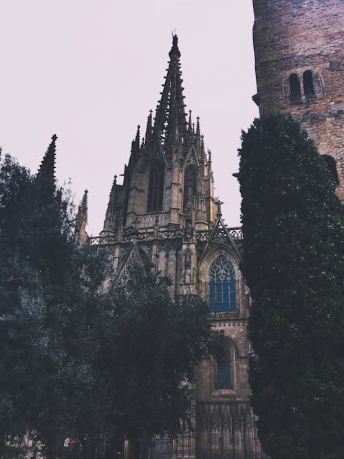ゴス好き, タワー, ブルゴス大聖堂の無料の写真素材