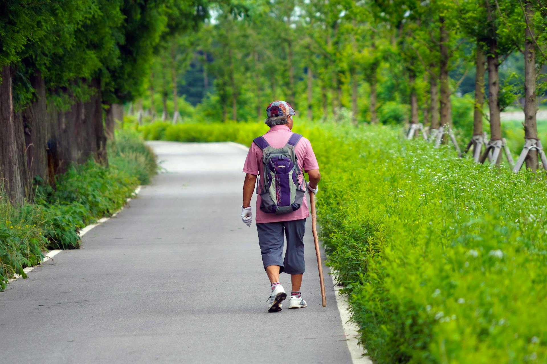 Free stock photo of adventure, footpath, girl