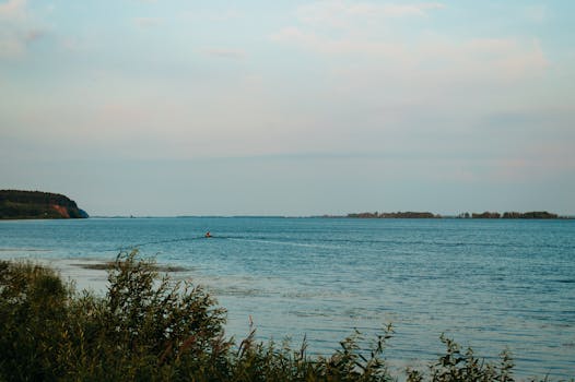 蔚蓝的天空下，宁静的海景与远处的山丘相映成趣，前景是郁郁葱葱的绿色植物