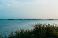 晴朗的天空下，宁静的海湾点缀着野花，非常适合大自然爱好者