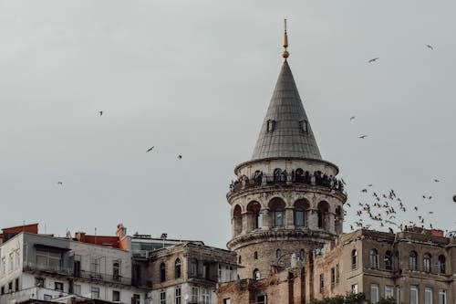 Fotos de stock gratuitas de arquitectura, aves, cielo nublado