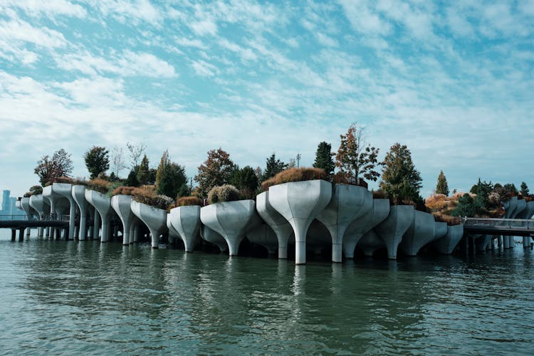 Platforms With Trees Over Water Near City