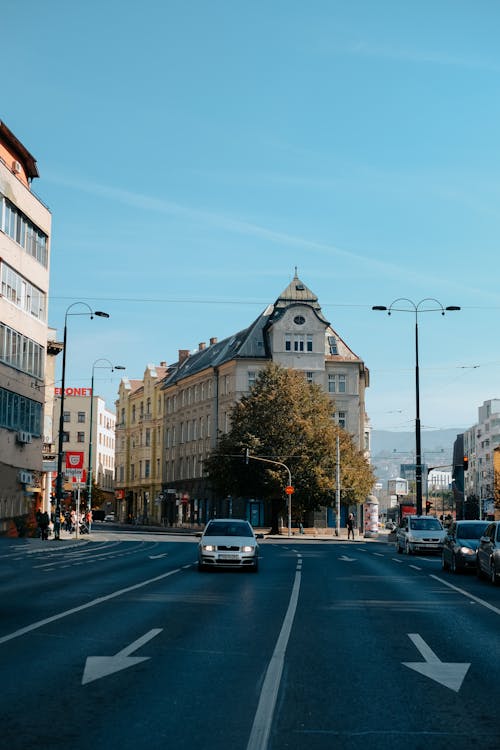 Kostenloses Stock Foto zu asphaltstraße, autos, baum