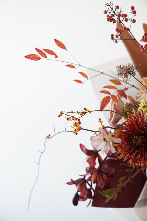 Free Beautiful floral arrangement featuring autumn colors in a modern, minimalist style against a white backdrop. Stock Photo
