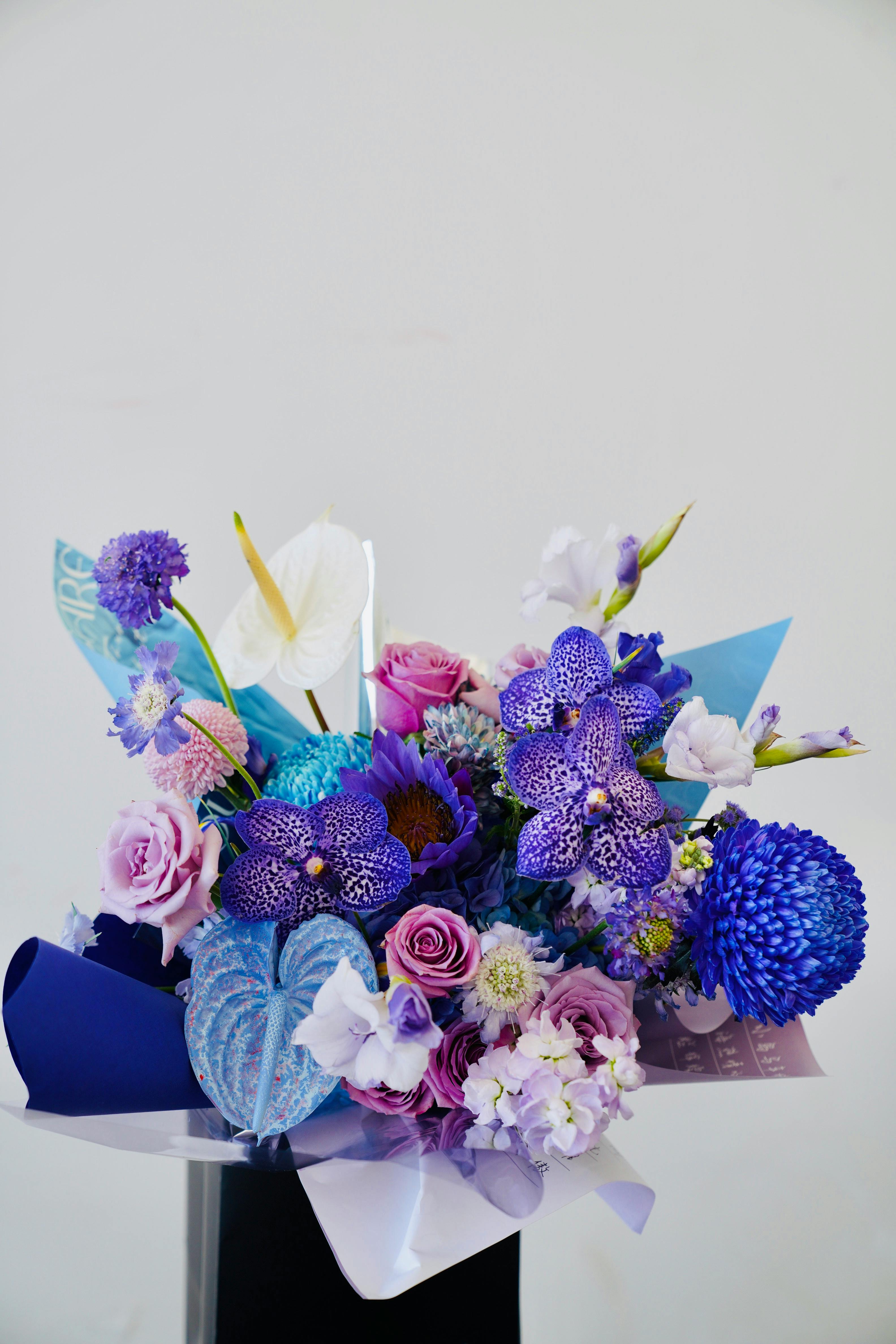 What is the greatest asset in life?