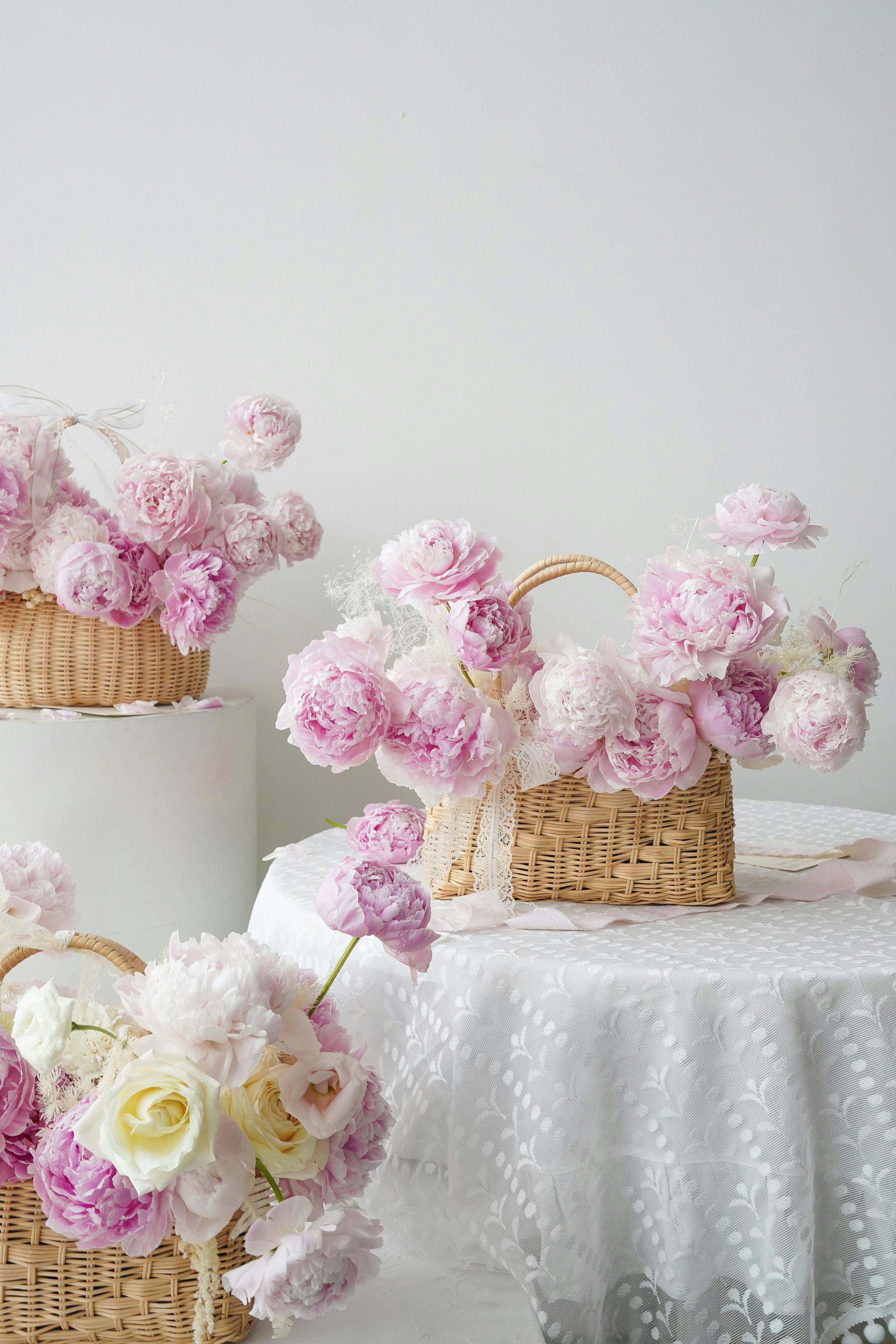 What are the six rules of life?