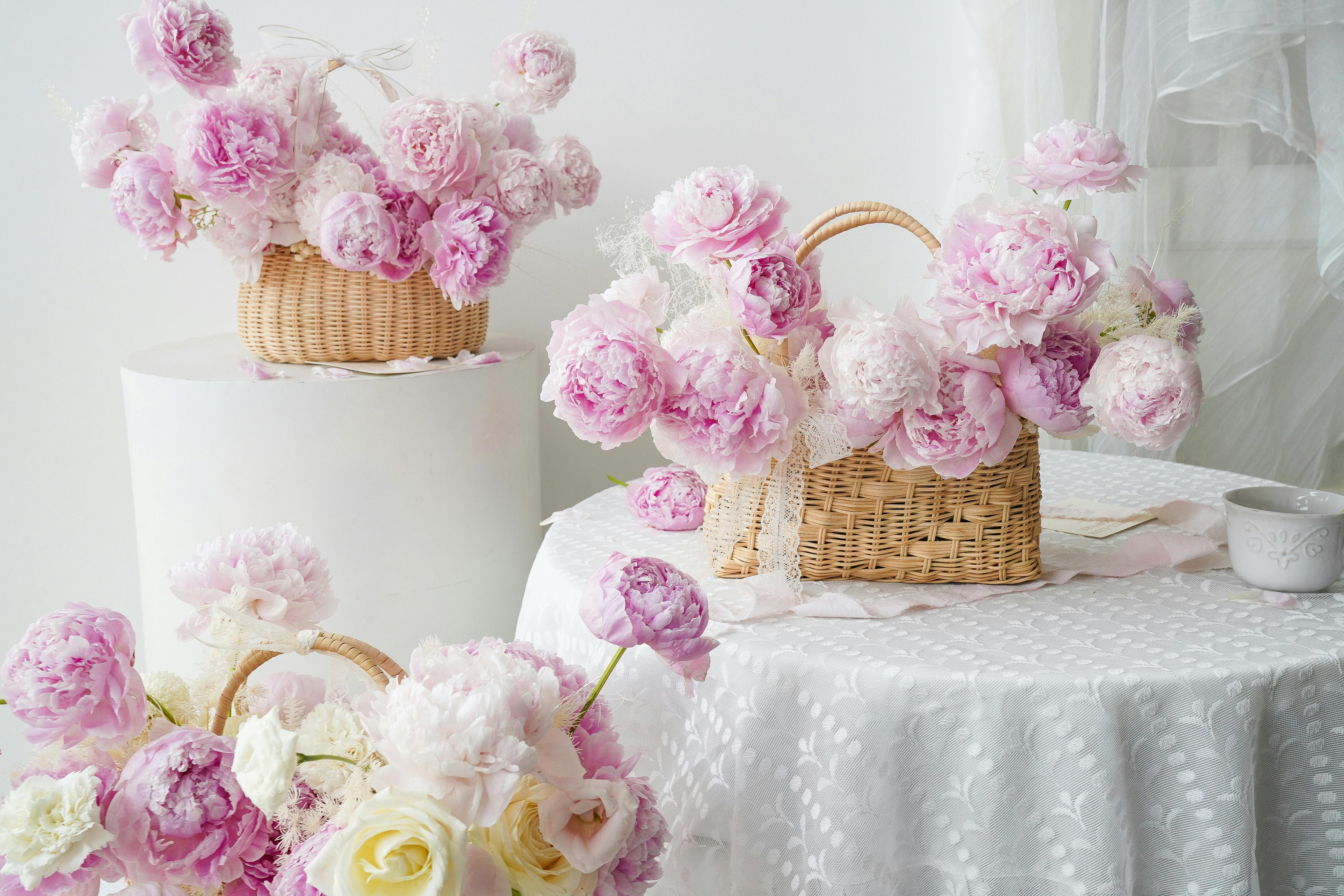 What are the 3 themes of life?