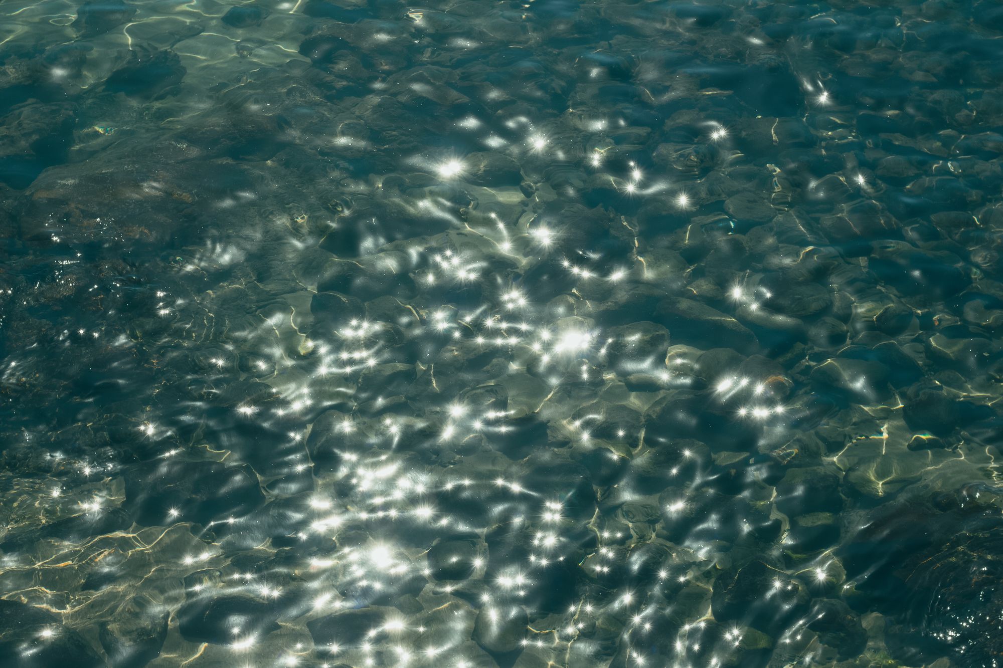 Serene Water Surface