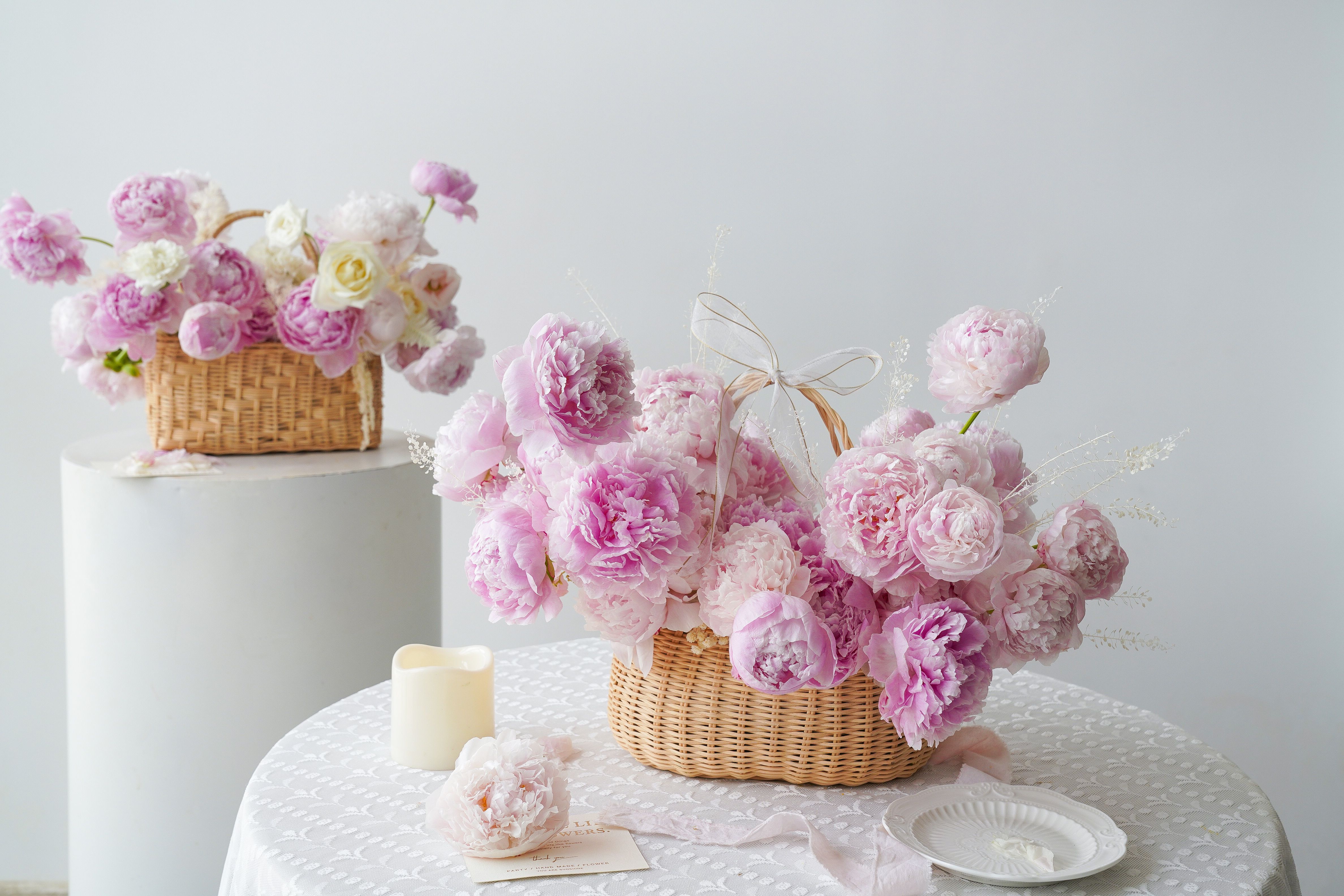 Luoyang Peony Festival 2026: Peak Bloom Dates, Best Gardens & Practical Guide