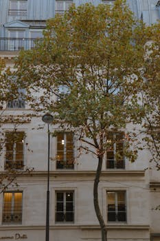 Charming Parisian building facade adorned with autumn trees in the heart of Paris.
