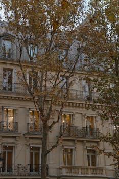 Classic Parisian architecture framed by autumn trees in a tranquil urban setting.