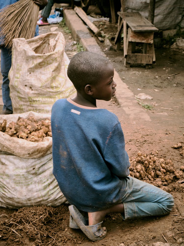 Little Boy Helping On A Farm 