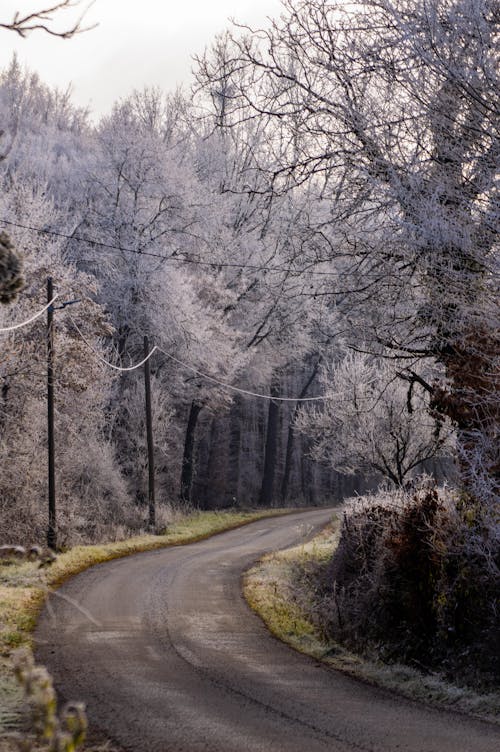 Kostnadsfri bild av lantlig, rimfrost, slingrande väg