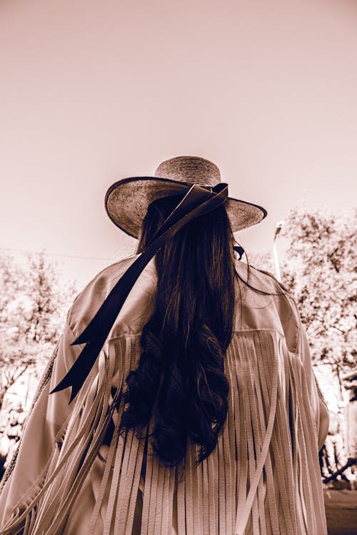 Immagine gratuita di alberi, capelli lunghi, cappello