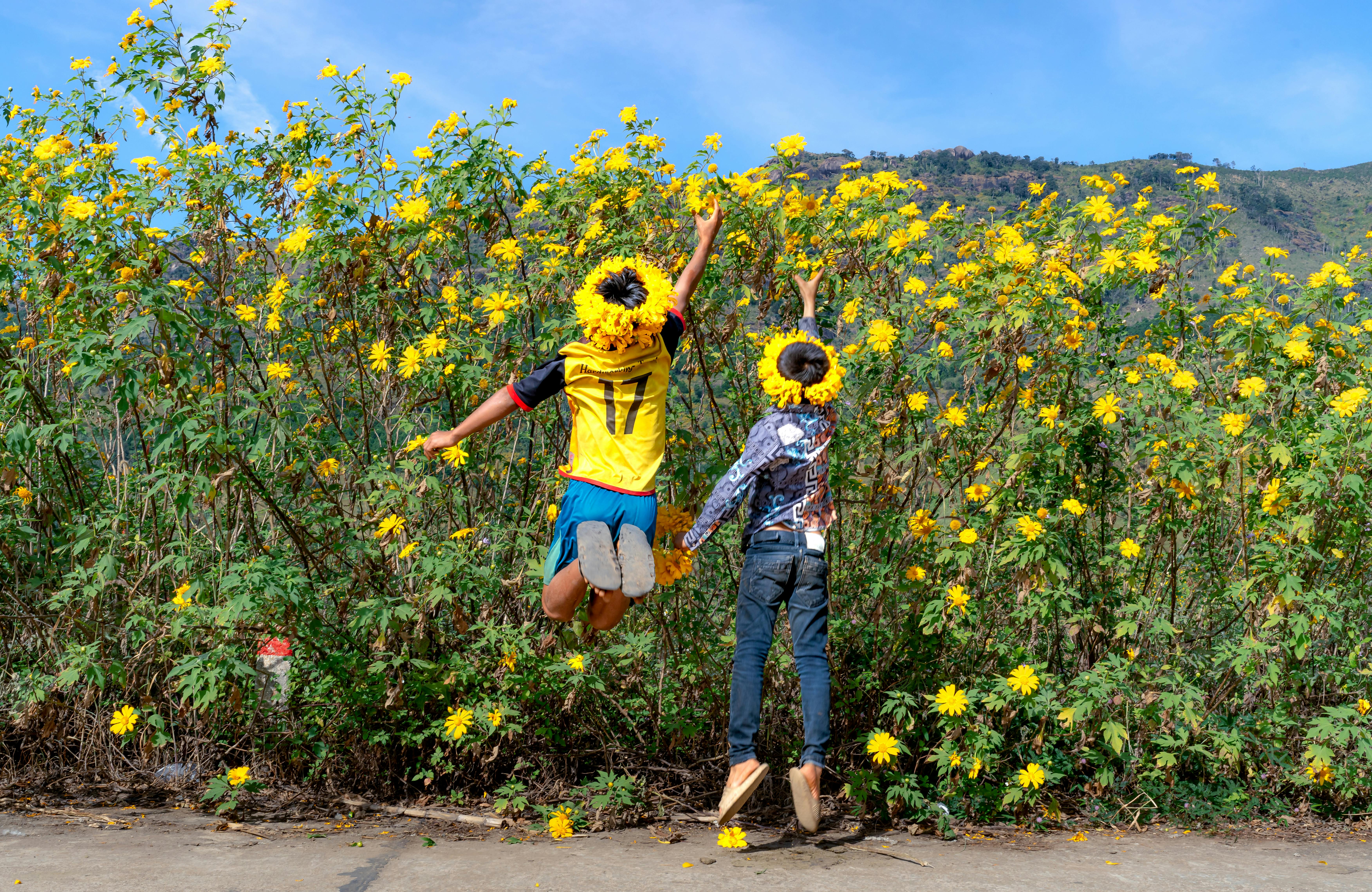 Kids Picking Yellow Flowers Near Road · Free Stock Photo