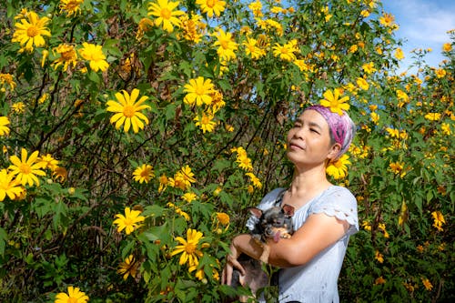 アジアの女性, チワワ, フローラの無料の写真素材