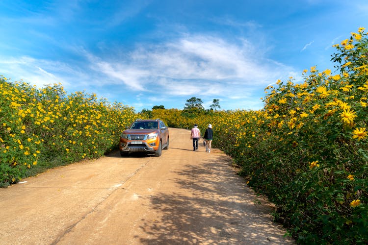 Men And Nissan Car On A Rural Road